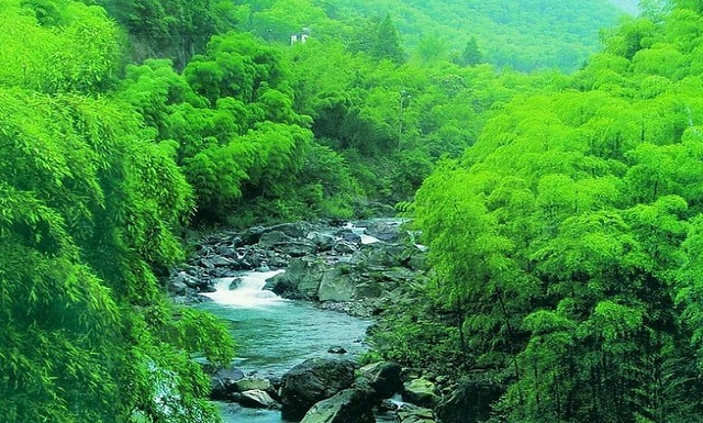 【公司游】清凉临安白水涧、钱王陵一日游