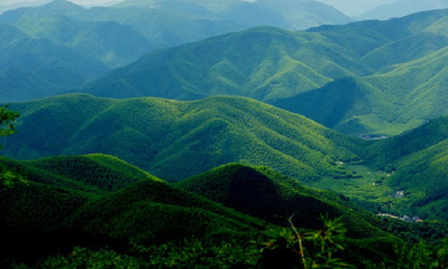 【公司游】莫干山下渚湖纯玩休闲2日游