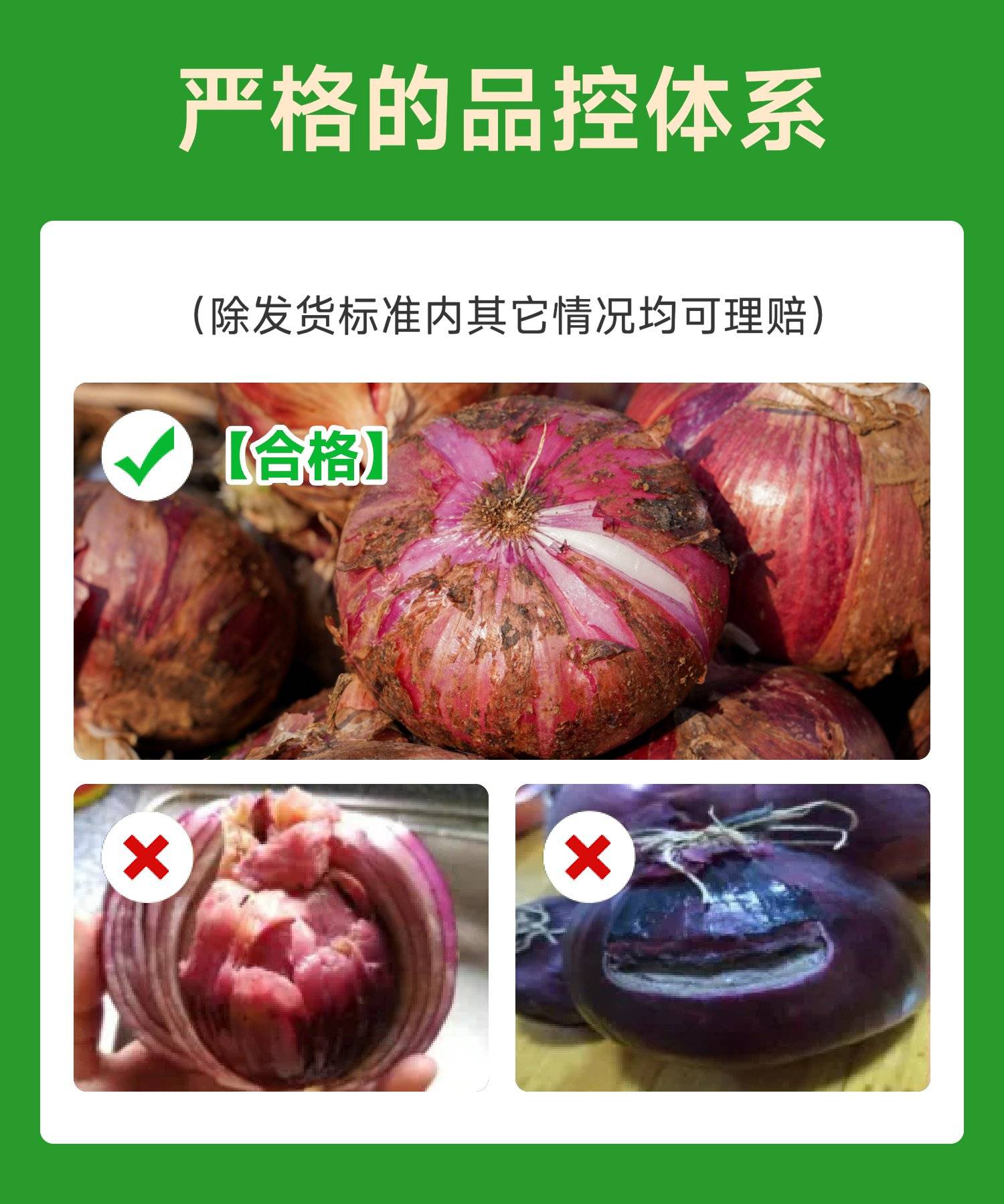 2dfd62c12eba2497607be0498b68897.jpg