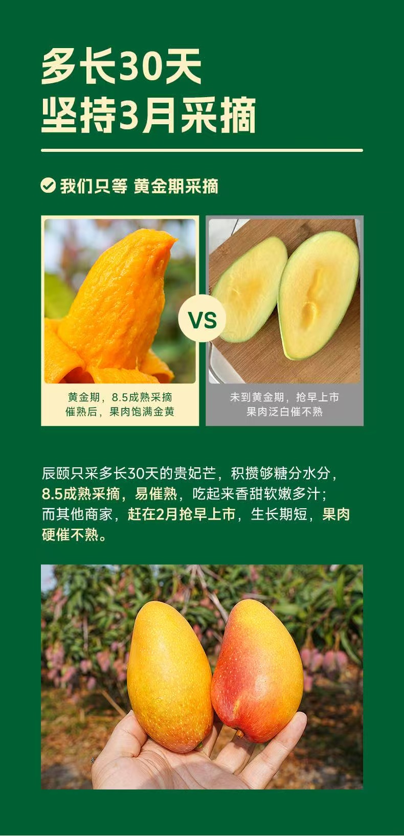 a8c10ea7d9af6d80bcaec89310a6ad7.jpg